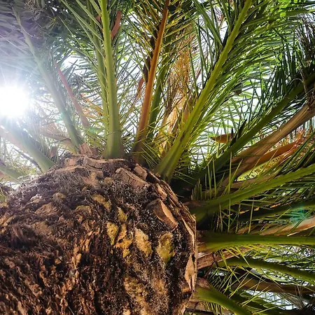 Casa Dos Lombos ヴィラ ラゴア