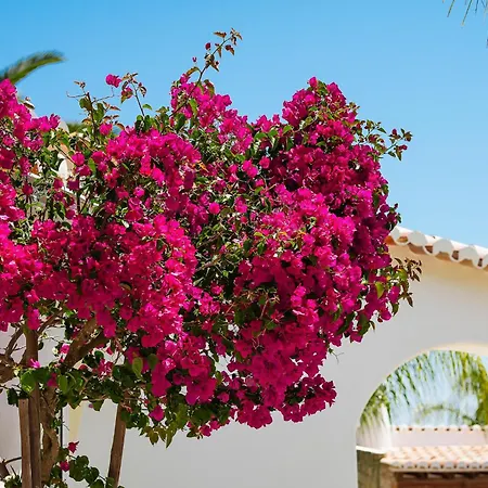 Casa Dos Lombos ヴィラ *